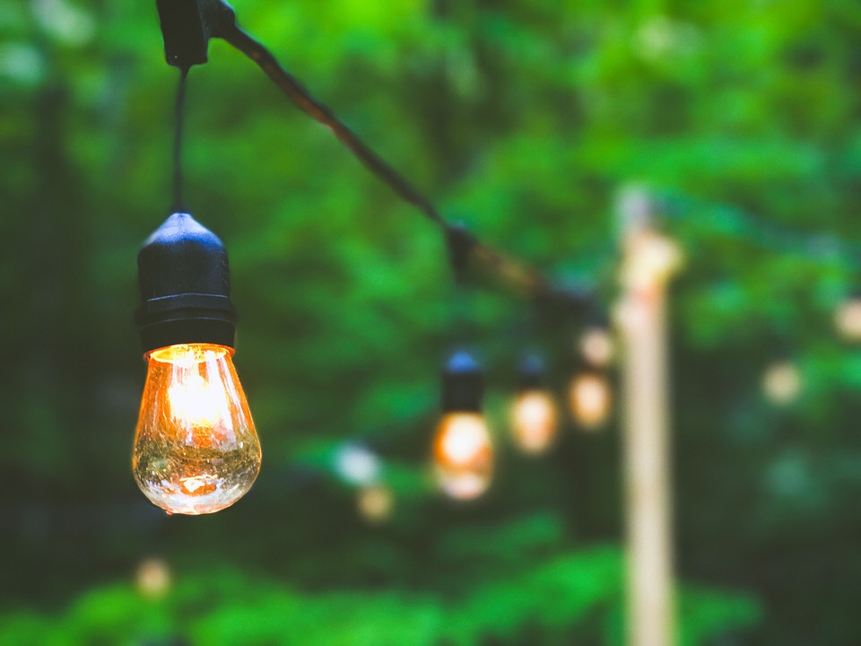A photo of hanging lights in a forest backdrop
